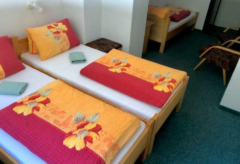 ペンション Penzion Bystřina