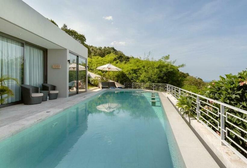 פנסיון Sasha Villa