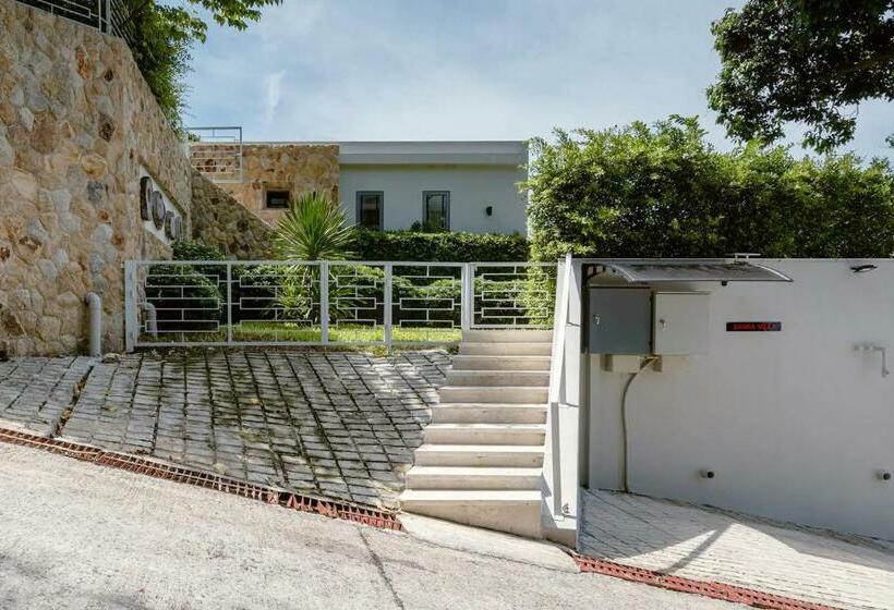 פנסיון Sasha Villa