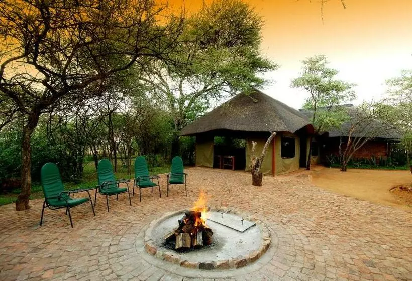 リゾートホテル Sondela Nature Reserve & Spa Moselesele Tents