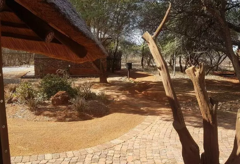 リゾートホテル Sondela Nature Reserve & Spa Moselesele Tents