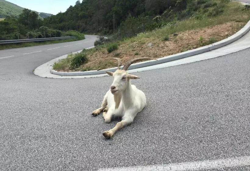 Stella, Plage à Pied, Terrasse, Clim, Agosta
