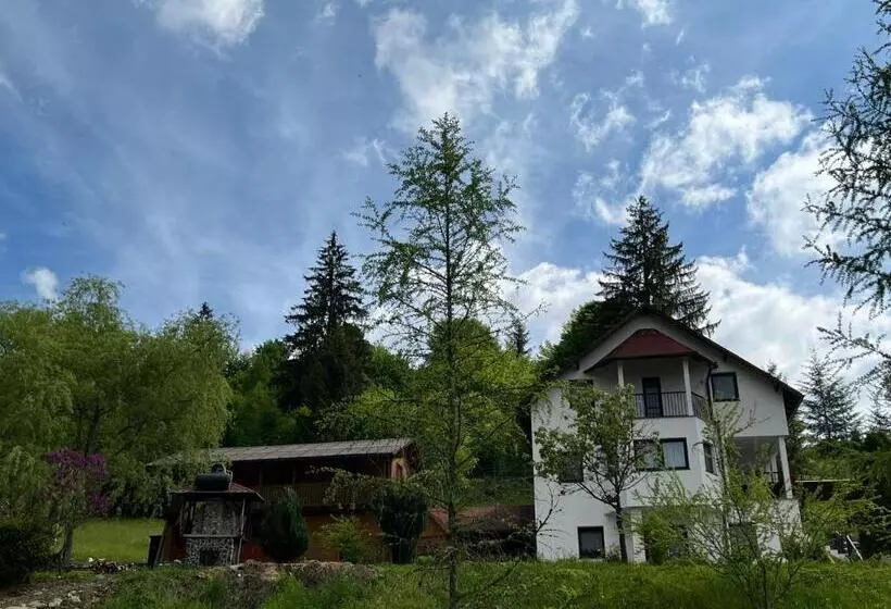 Cabana Transylwonder