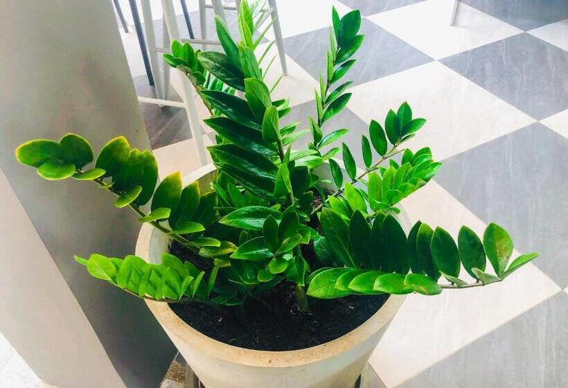 בית מלון כפרי Arenice Boutique