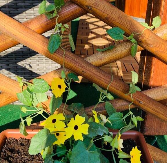 膳宿费 Aranyfürt Vendégház