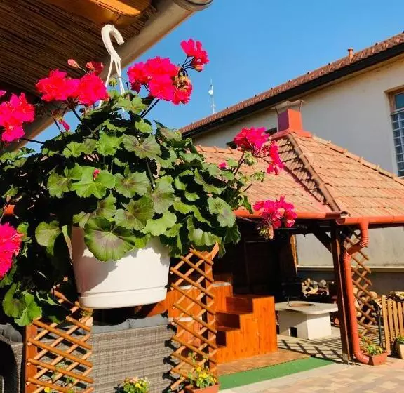 Majatalo Aranyfürt Vendégház