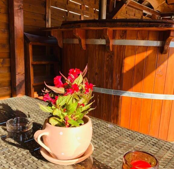 膳宿费 Aranyfürt Vendégház