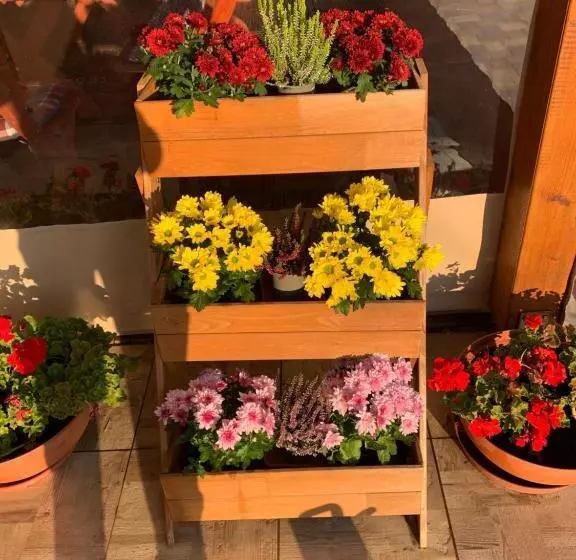 Majatalo Aranyfürt Vendégház