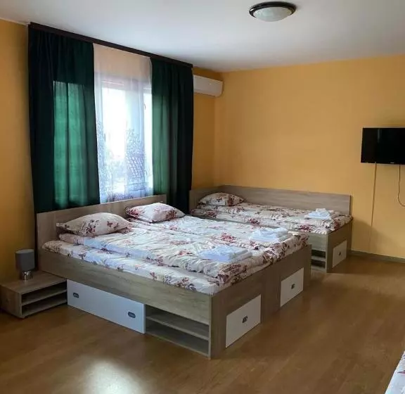 پانسیون Vesi S Rooms