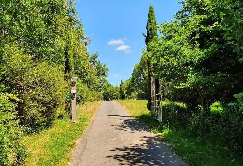 Tout Le Confort Au Milieu D Un Parc Botanique