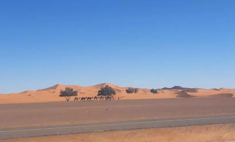 Aamiaismajoitus (B&B) Guests House