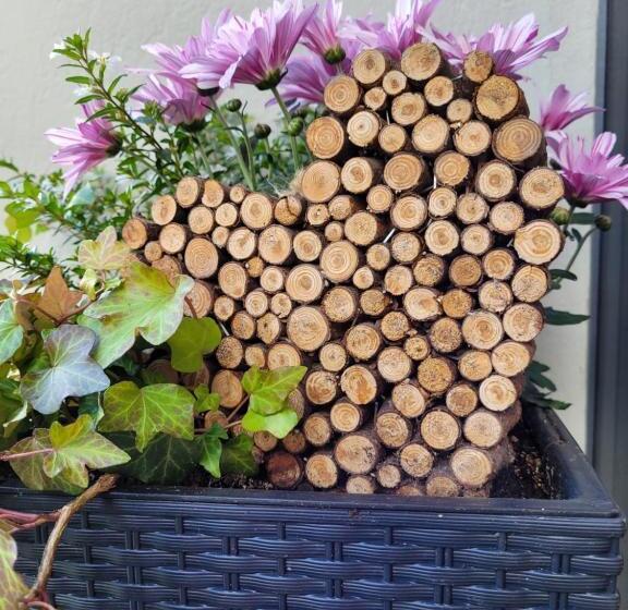 Ferienwohnung Lotterhof