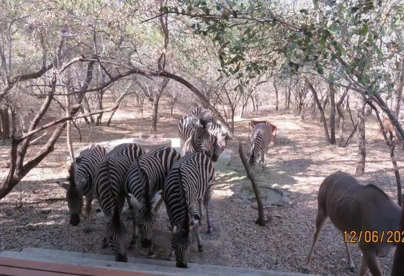 Gemsbok Place