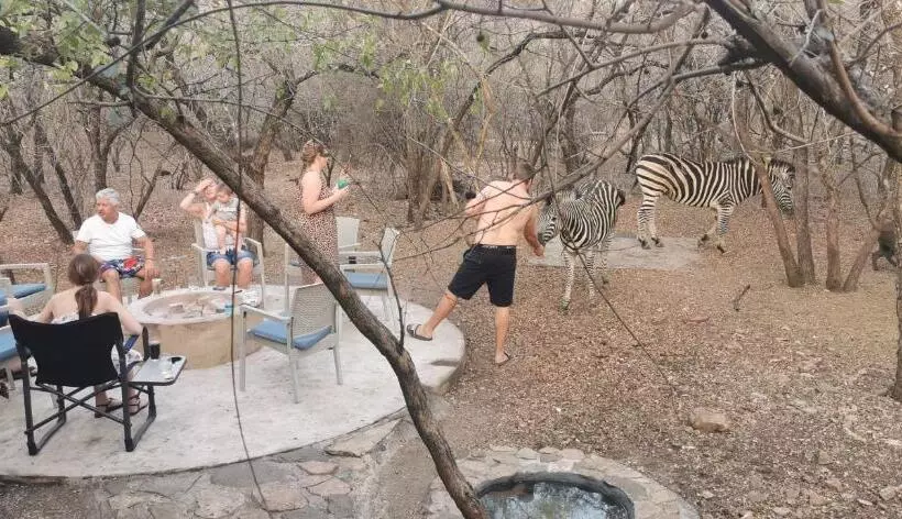 Gemsbok Place
