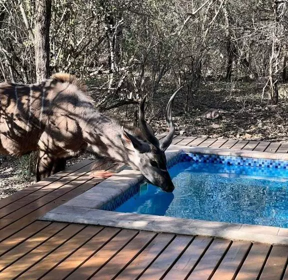 Gemsbok Place