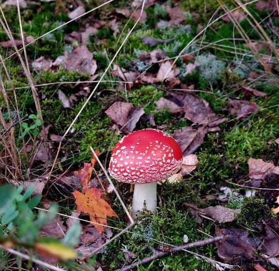 Gemütliche Zwei Zimmer Ferienwohnung W1 In Zwenkau Bei Leipzig Im Neuseenland