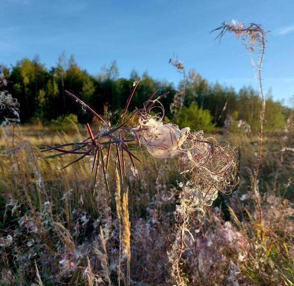 Gemütliche Zwei Zimmer Ferienwohnung W1 In Zwenkau Bei Leipzig Im Neuseenland