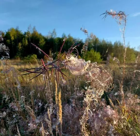 Gemütliche Zwei Zimmer Ferienwohnung W1 In Zwenkau Bei Leipzig Im Neuseenland