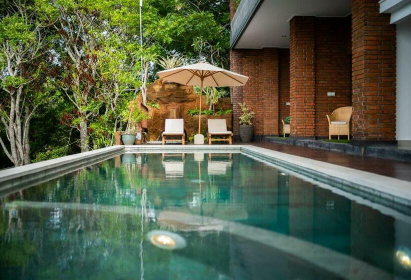 هتل Dreamland View