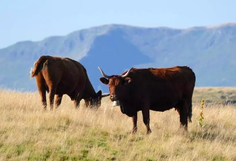 L Impradine, Grand Gîte Vue Et Nature Splendides