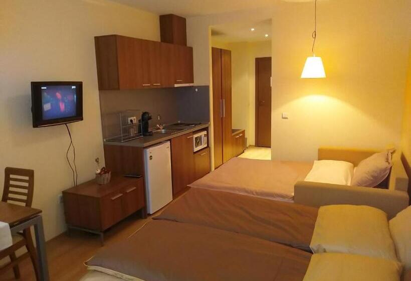 Studio Villa Park 207