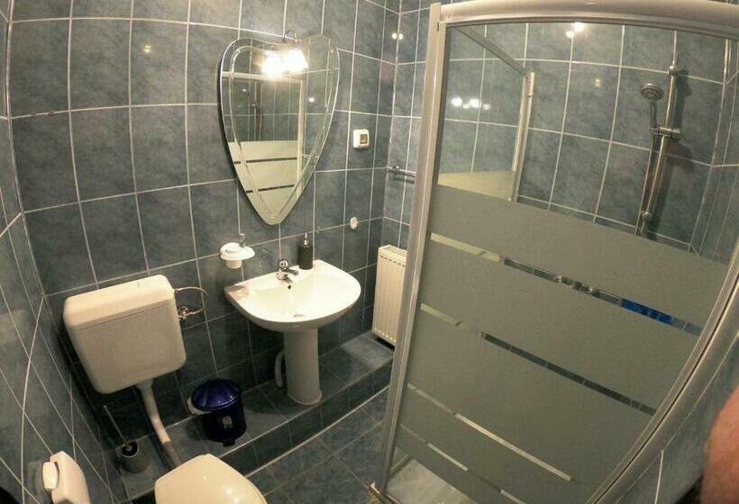 בית מלון כפרי Anuța