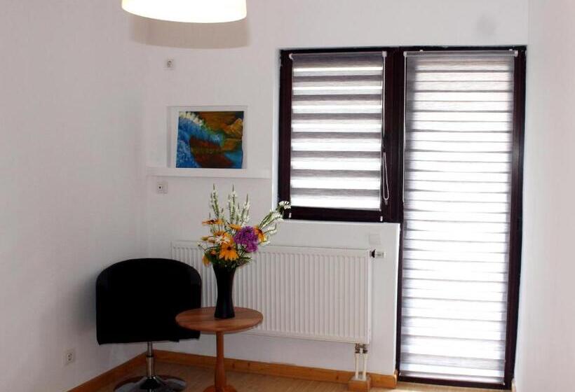 בית מלון כפרי Anuța