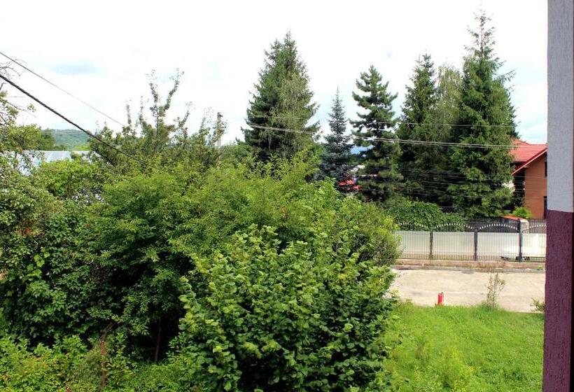 בית מלון כפרי Anuța