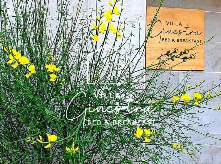 پانسیون B&b Villa Ginestra