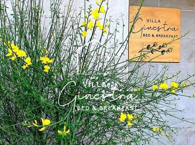 پانسیون B&b Villa Ginestra