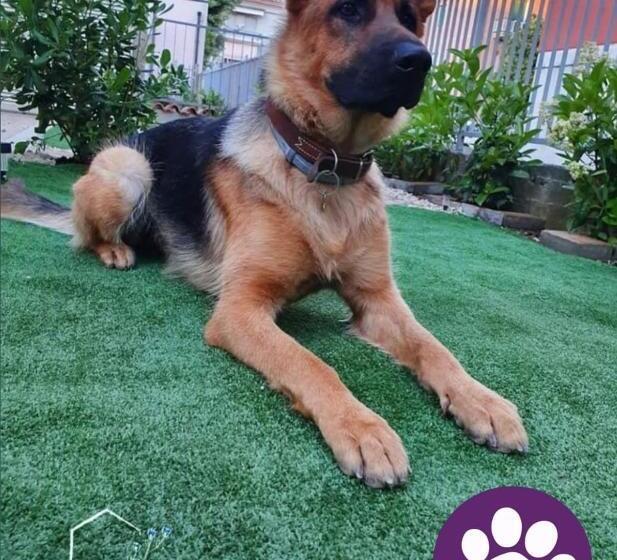 پانسیون B&b Villa Ginestra