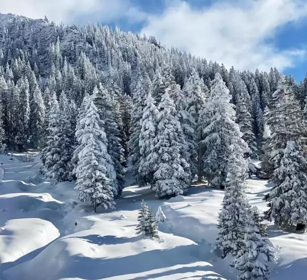 Majatalo Haus Tirol Ehrwald
