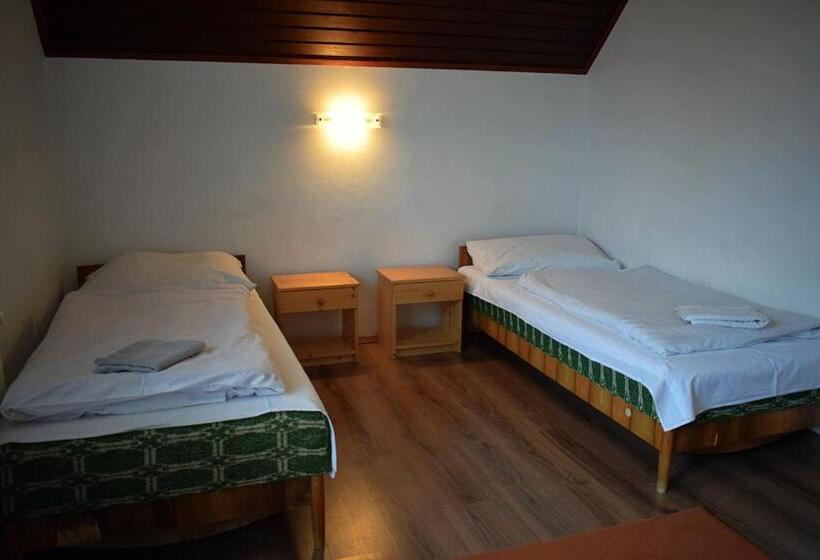 פנסיון Két Diófa Vendégház