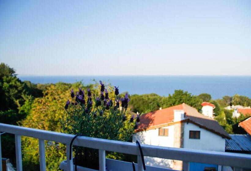 ペンション Simada Blue Guest House