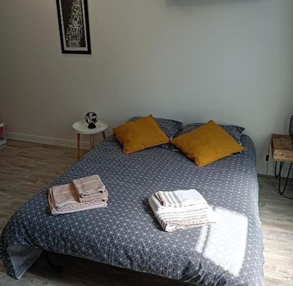 Superbe Studio Proche Du Centre Ville De Reims