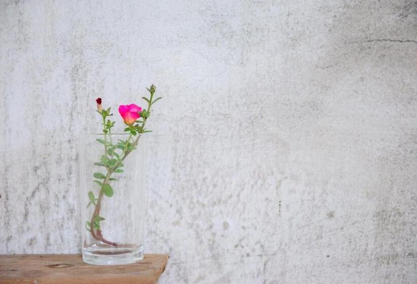 Vandrarhem Montview Koh Chang