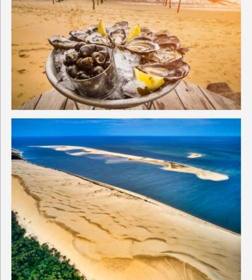 Appartement Vue Sur Baie Et Océan, 100 M De La Plage Et Du Centre Par Chemin Privé