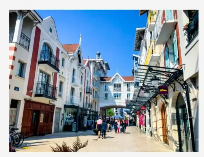 Appartement Vue Sur Baie Et Océan, 100 M De La Plage Et Du Centre Par Chemin Privé