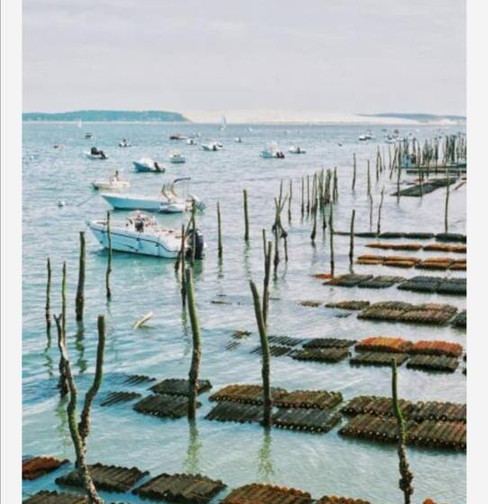 Appartement Vue Sur Baie Et Océan, 100 M De La Plage Et Du Centre Par Chemin Privé