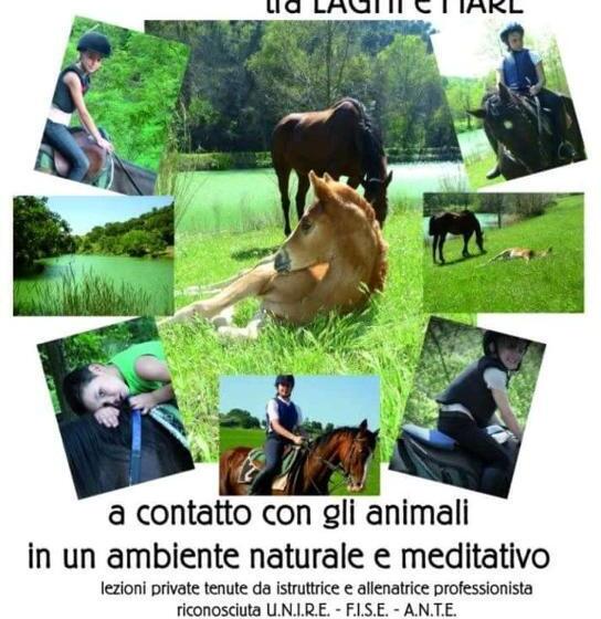 مبيت وإفطار La Mouette