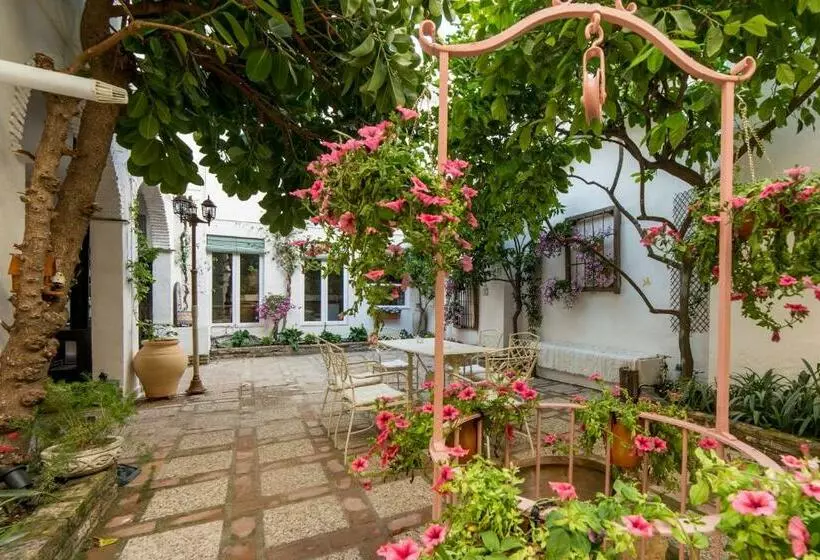 تختخواب و صبحانه Patio Márquez