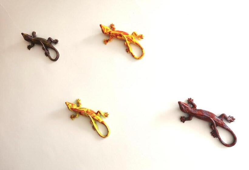 Finu Oporto Apartments