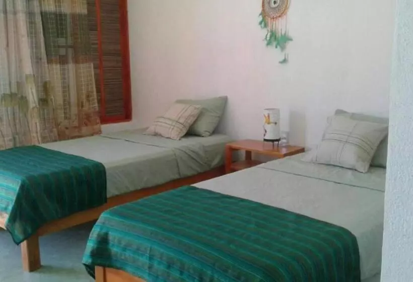 Hotelli Casa Colibrí Agua Blanca