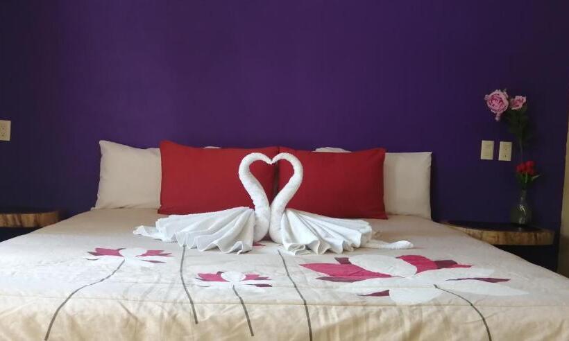 فندق Playa Sayulita