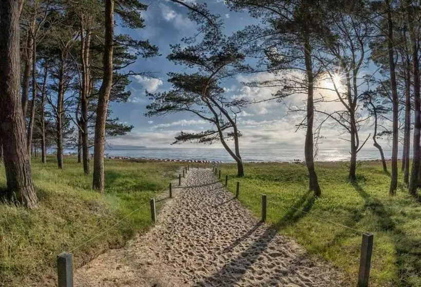 ペンション Direkt Am Strand Mit Meerblick Und Sauna   Fewo Strandidyll
