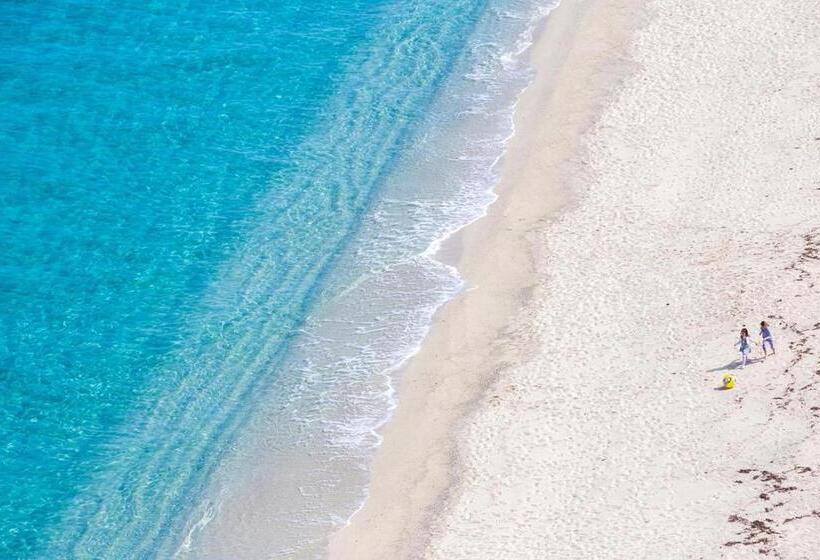 ペンション Rooms Dream Tropea