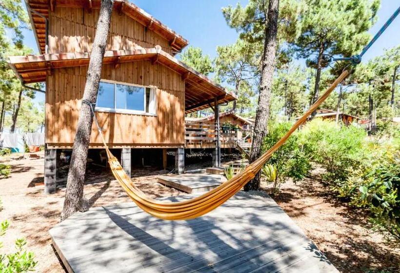 Studio à 500m De La Plage Carcans