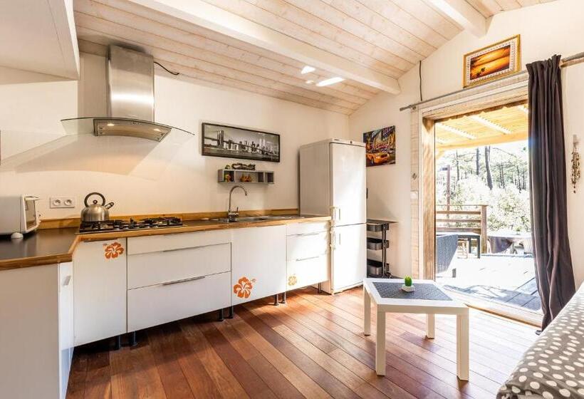 Studio à 500m De La Plage Carcans