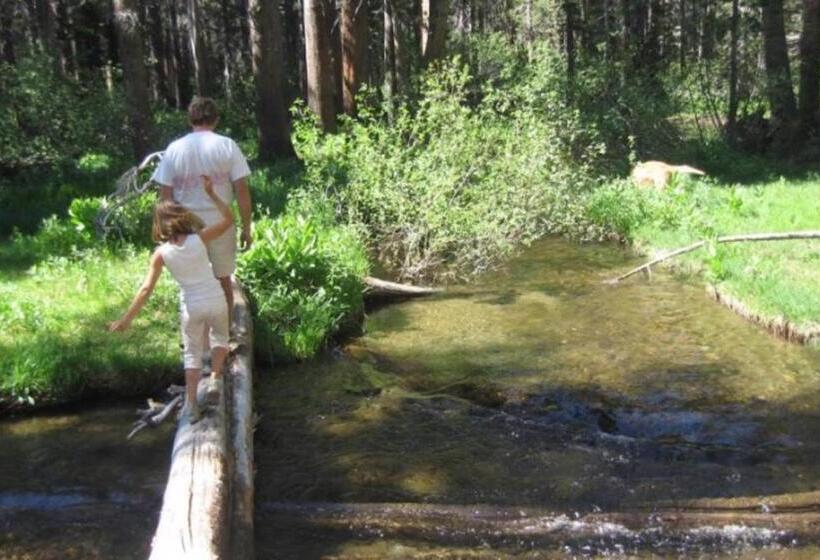 #531 Close To Canyon Lodge With Pool & Spa