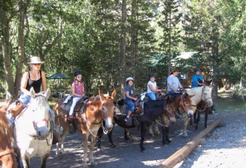 #531 Close To Canyon Lodge With Pool & Spa